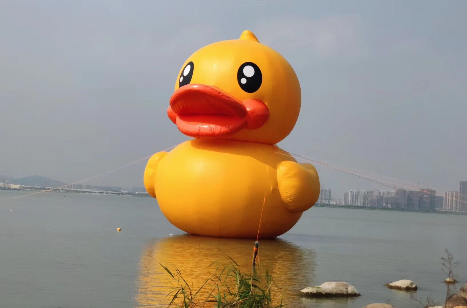 QQ图片20191008103827.jpg